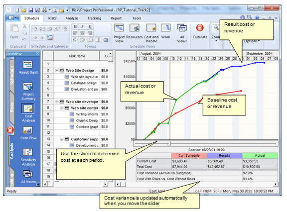 Project Management: Cost and Revenue Analysis