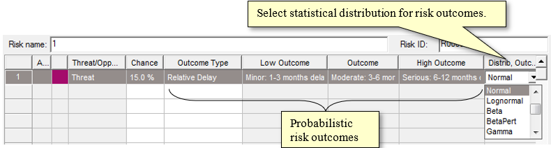 Statistical Distribution for Risk Outcomes