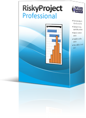 RiskyProject Professional