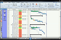 RiskyProject project risk management and risk analysis software tutorial