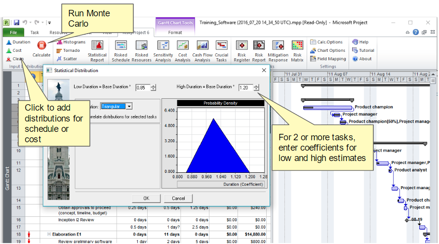 riskyproject professional license key