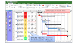 RiskyProject v7.1 Critical Tasks RiskyProject v7.1 Critical Tasks