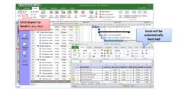RiskyProject v7.1 Excel Export RiskyProject v7.1 Excel Export