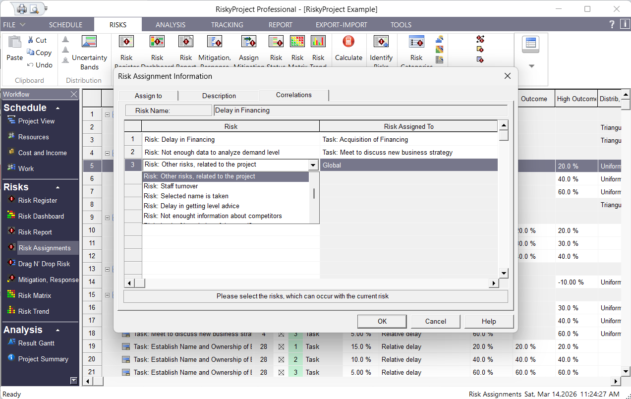 RiskyProject: Risk Correlations
