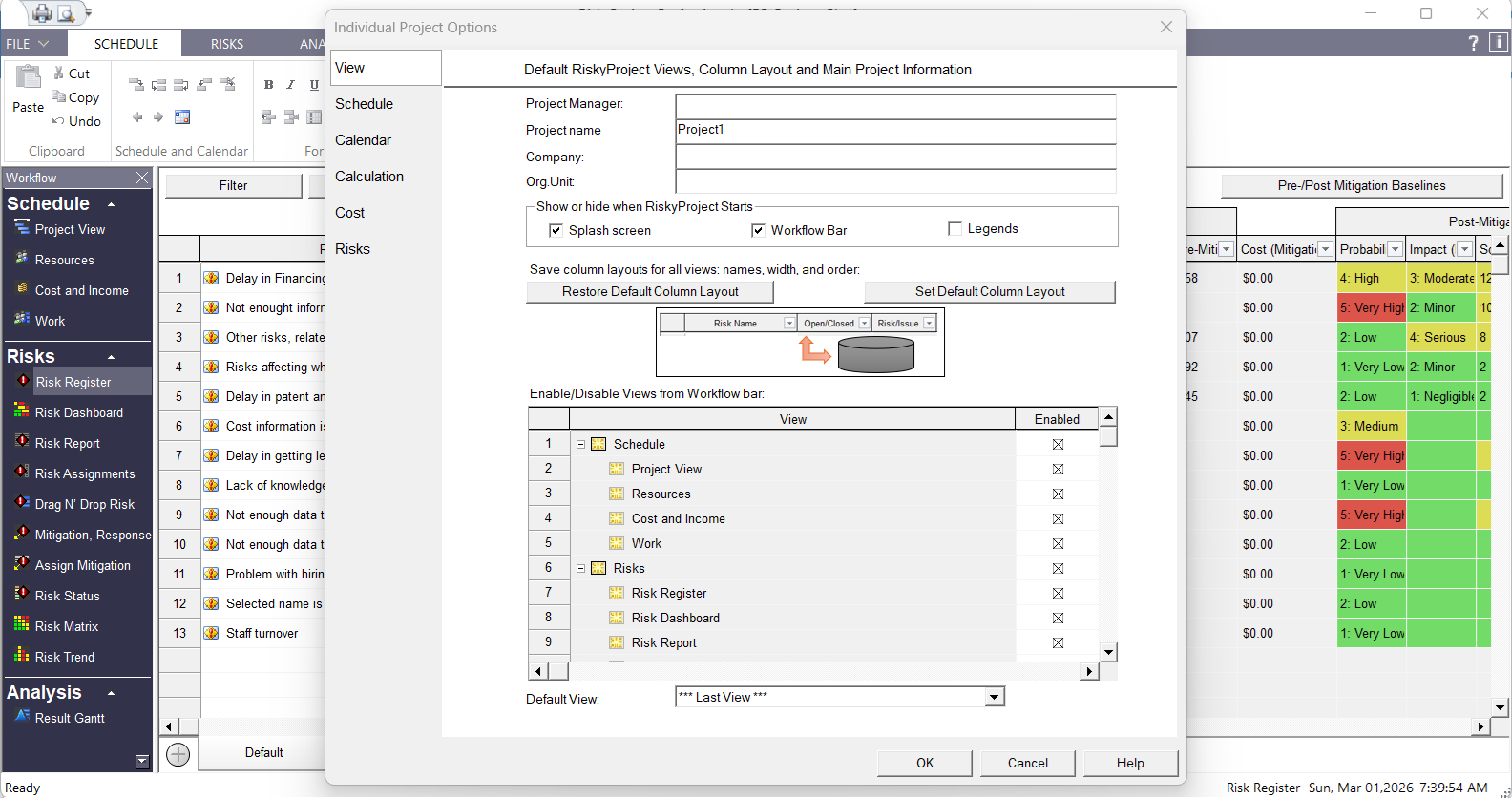 RiskyProject v8 New Options and Preferences RiskyProject v8 New Options and Preferences