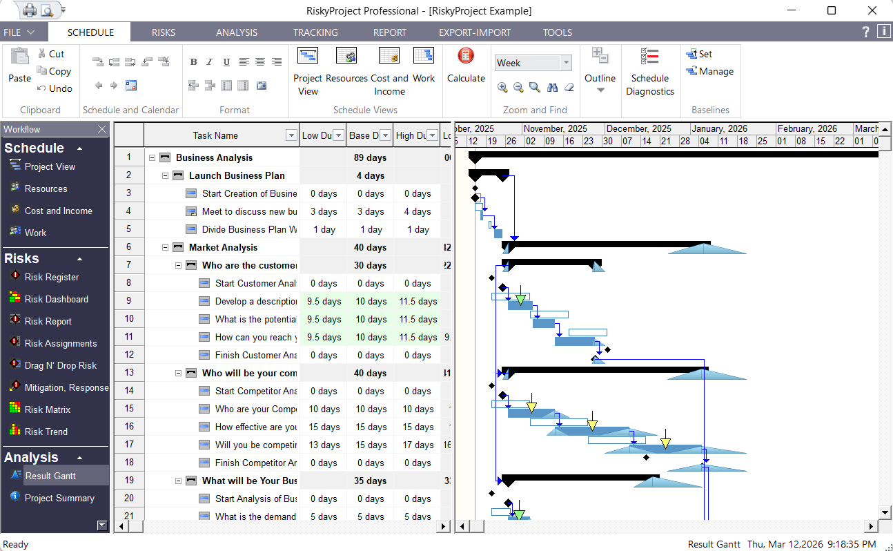 RiskyProject Workflow: Risk Adjusted Project Schedule
