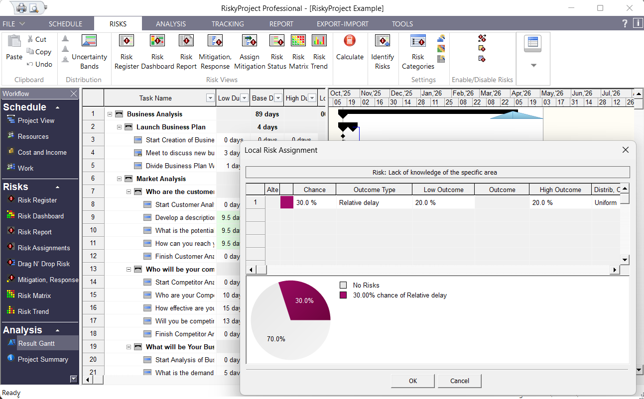 RiskyProject Workflow: RiskAssignments