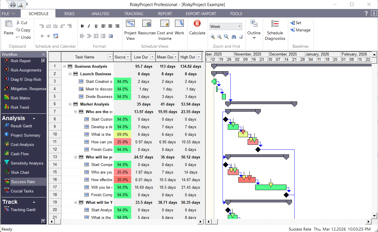 RiskyProject Workflow: Success Rate for Tasks